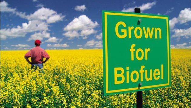 BIO